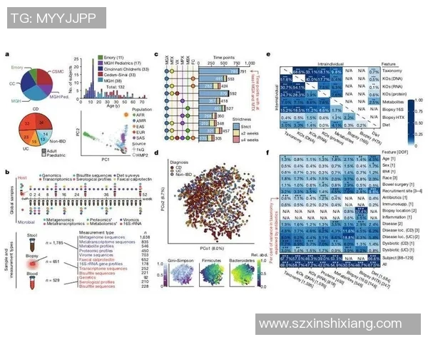 重磅专题：探讨北京篮球队在战术与阵容上的创新与变革之路