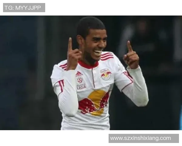 阿兰西勒的足球传奇之路与辉煌成就解析